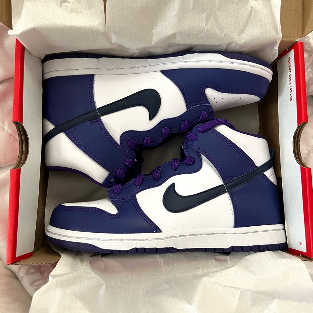 Nike Dunks Big Kids